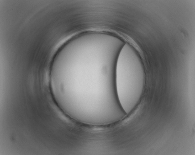 X0000114530839200910191008