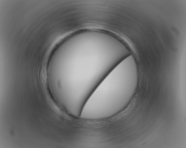 X0000114530840200910191008