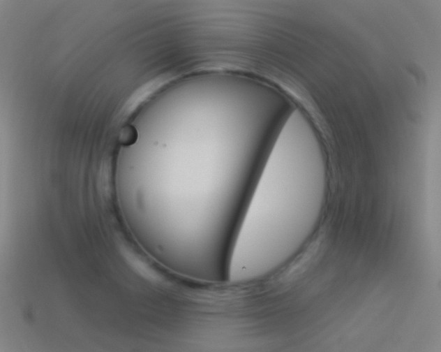 X0000114530842200910191008