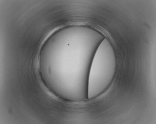 X0000114530844200910191008