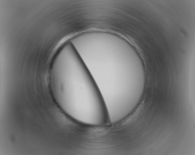 X0000114530846200910191008