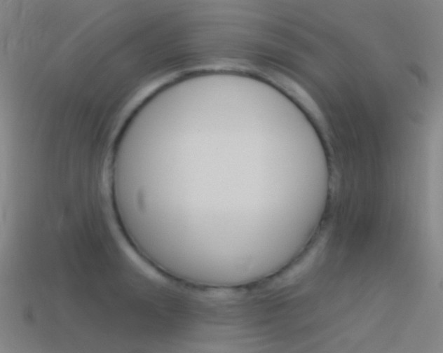 X0000114530847200910191008