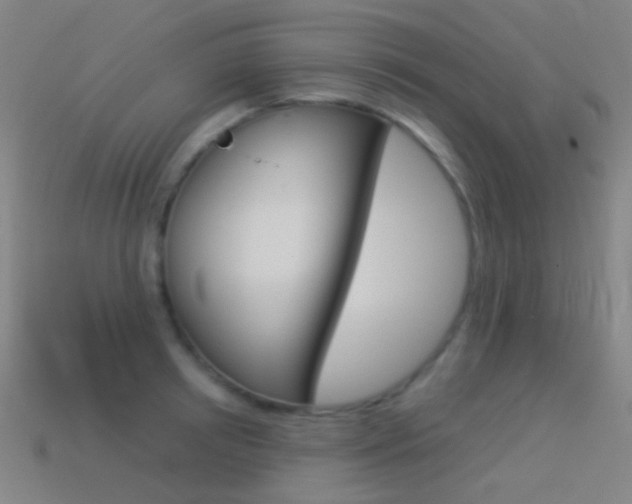 X0000114530850200910191008