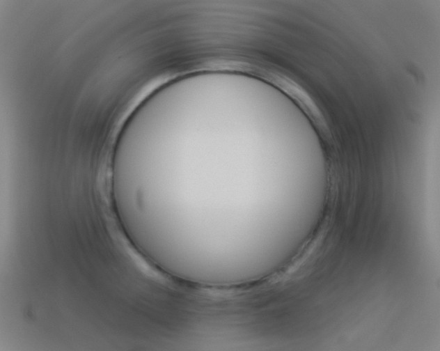 X0000114530852200910191008