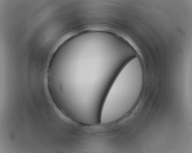 X0000114530853200910191009