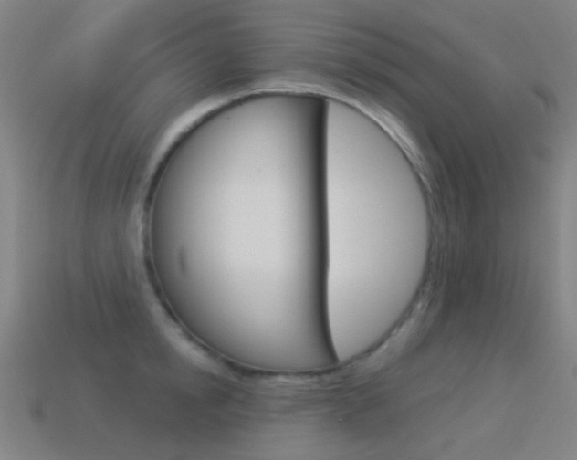 X0000114530854200910191009