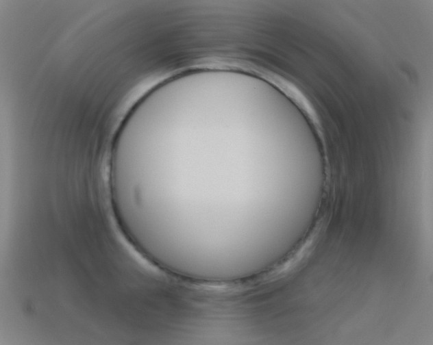 X0000114530855200910191009