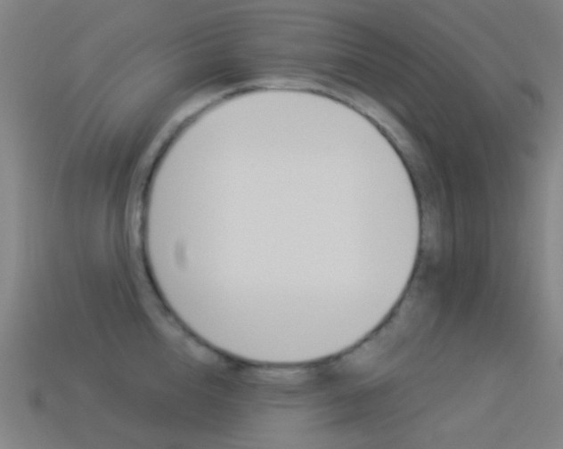X0000114530856200910191009