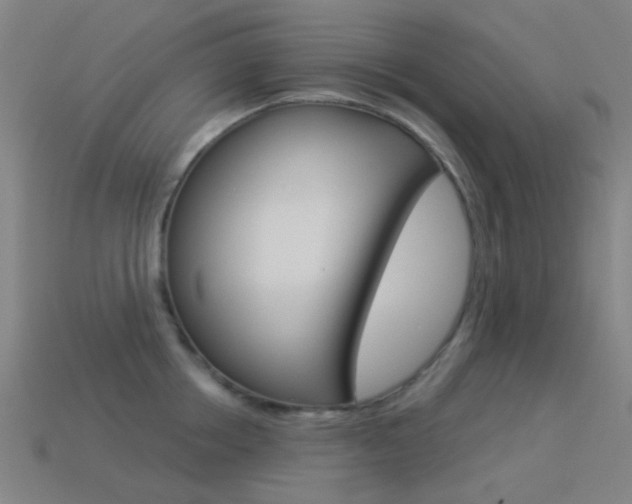 X0000114530858200910191009