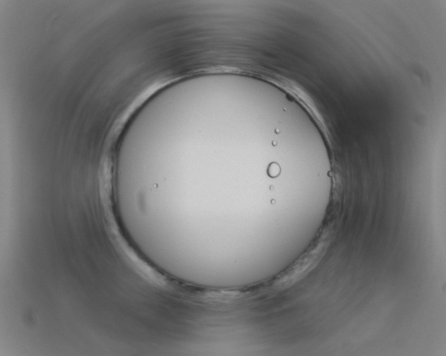 X0000114530859200910191009
