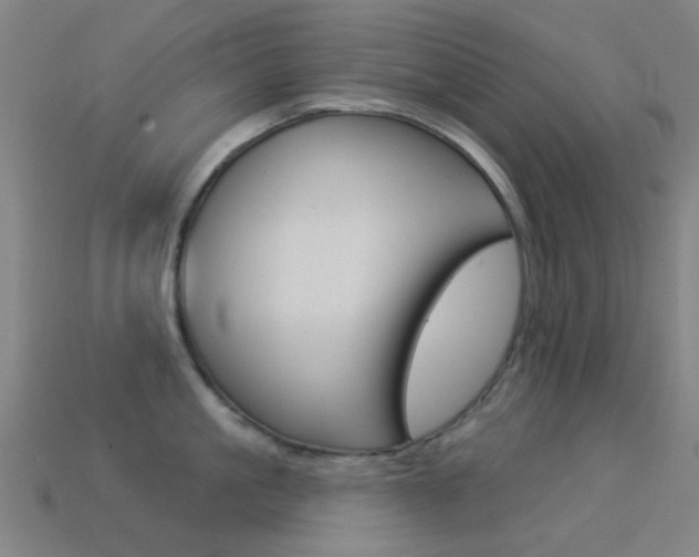 X0000114530861200910191009
