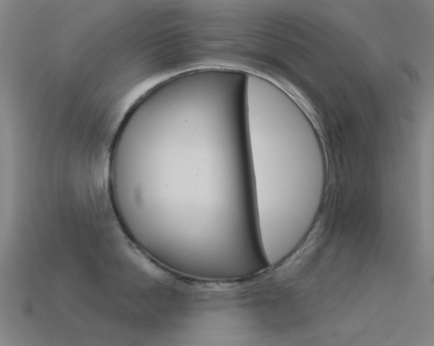X0000114530862200910191009