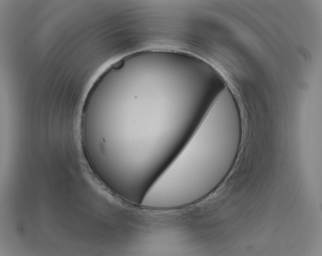 X0000114530864200910191009