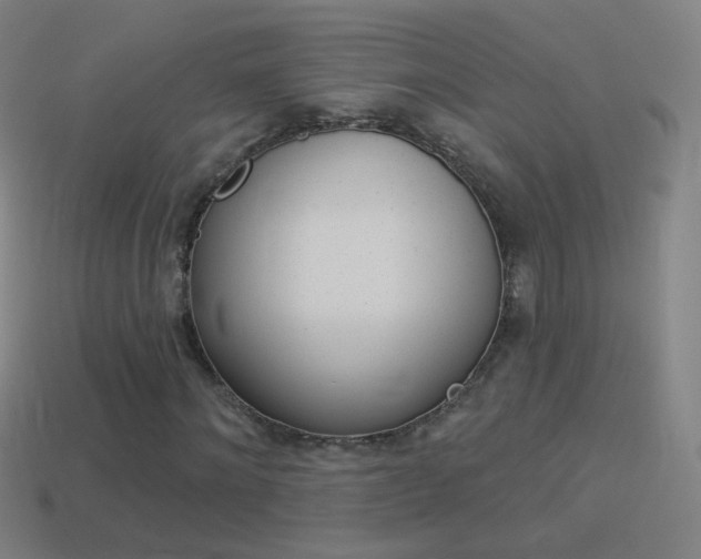 X0000114530868200910191008