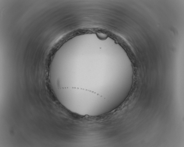X0000114530871200910191008