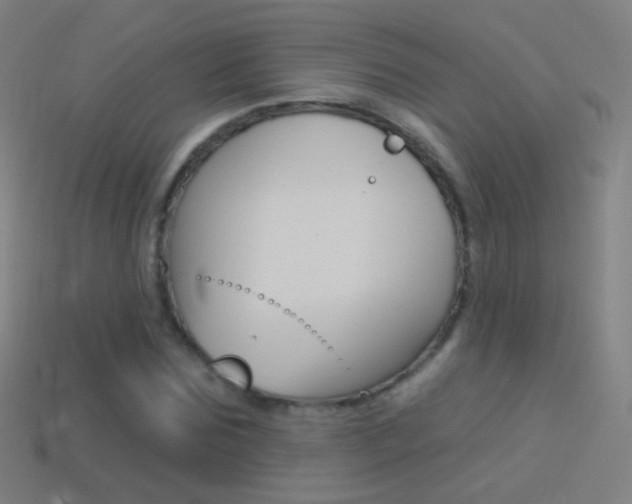 X0000114530875200910191008
