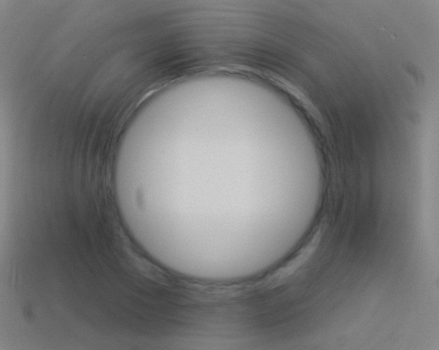 X0000114530881200910191008