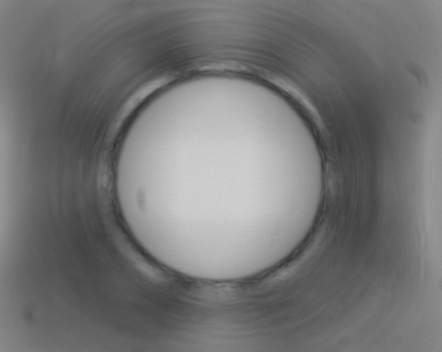 X0000114530882200910191008