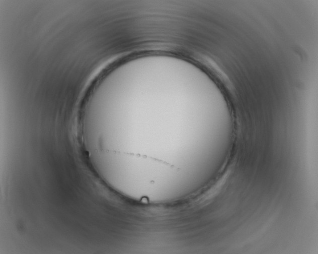X0000114530883200910191008