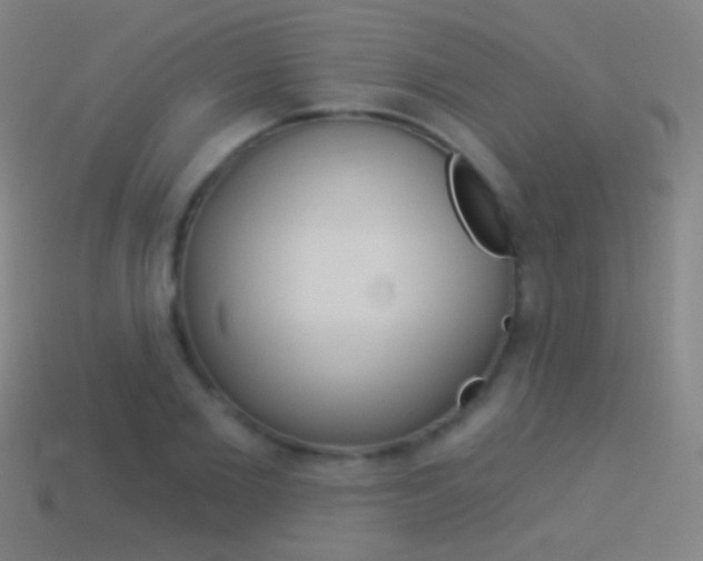 X0000114530885200910191008