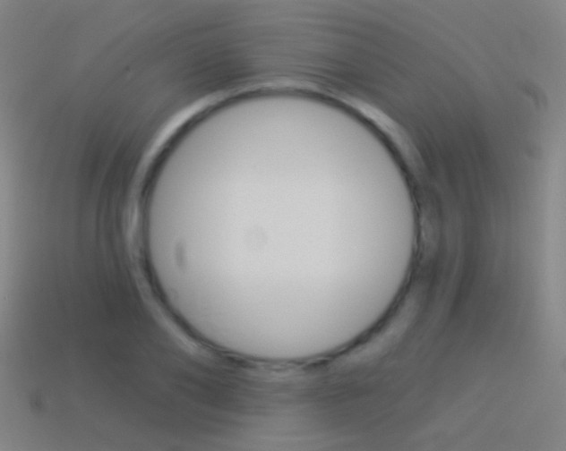 X0000114530886200910191008