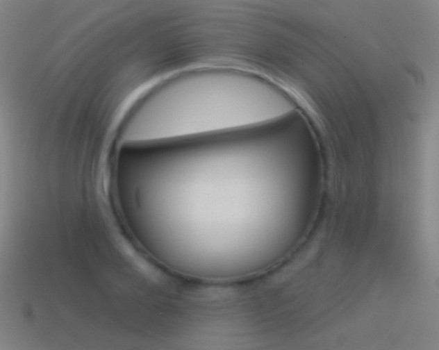 X0000114530888200910191008