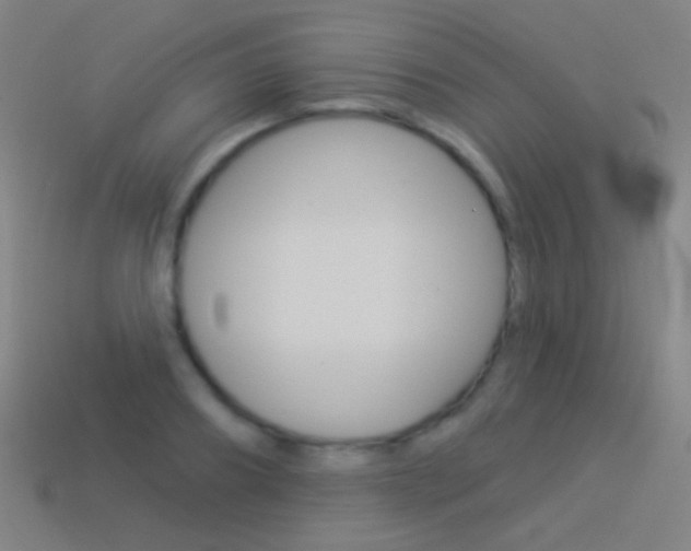 X0000114530890200910191008