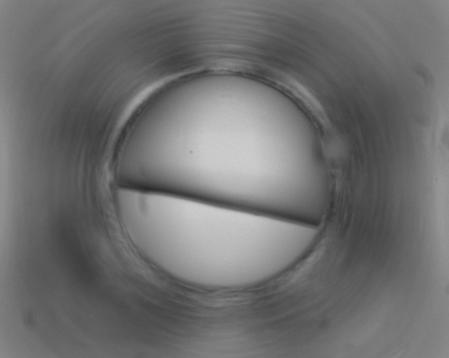 X0000114530891200910191008