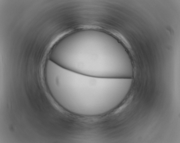 X0000114530893200910191008