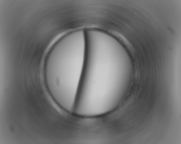 X0000114530894200910191008