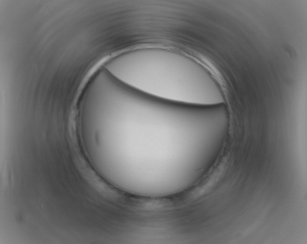 X0000114530899200910191008