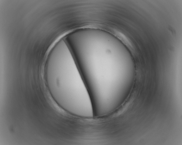 X0000114530900200910191008