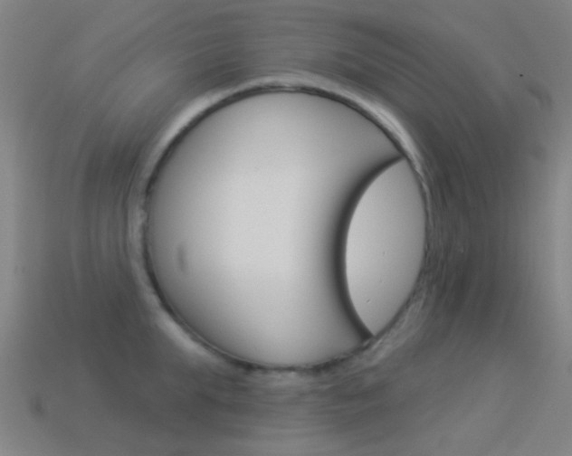 X0000114530903200910191008