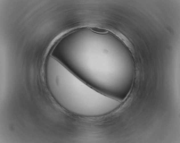 X0000114530904200910191008