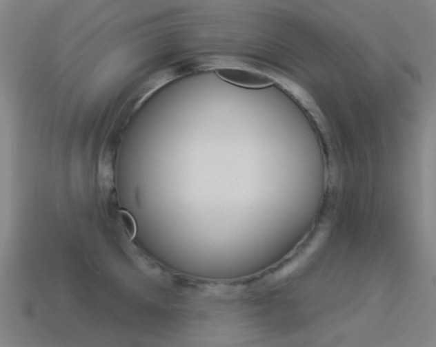 X0000114530905200910191008