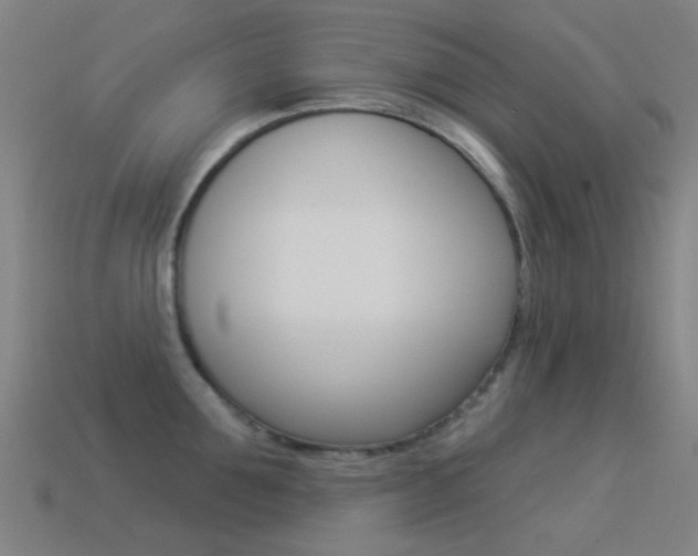 X0000114530907200910191008