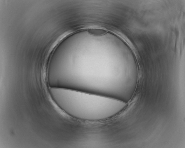 X0000114530909200910191007