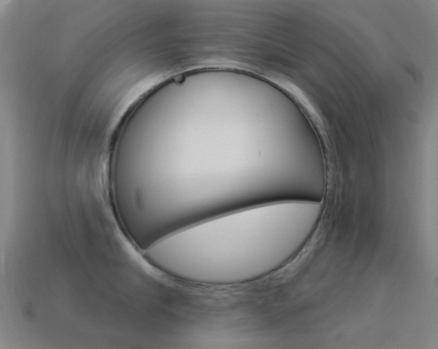 X0000114530910200910191007