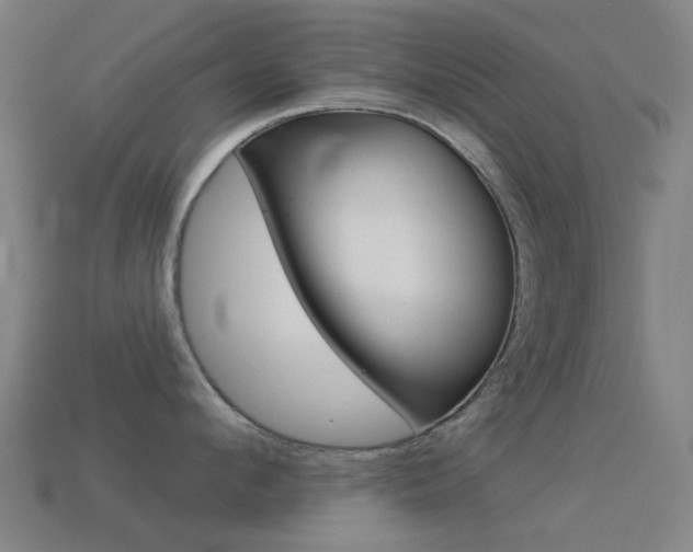 X0000114530912200910191007