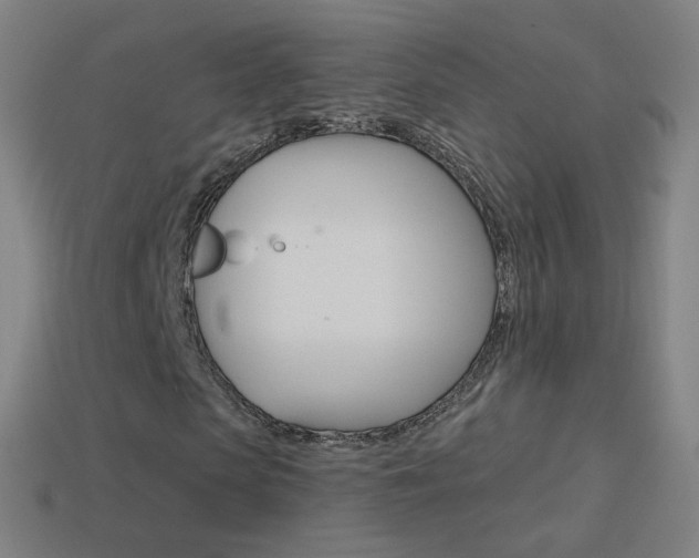 X0000114530913200910191007