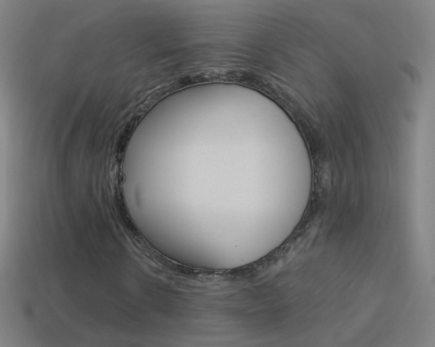 X0000114530914200910191007