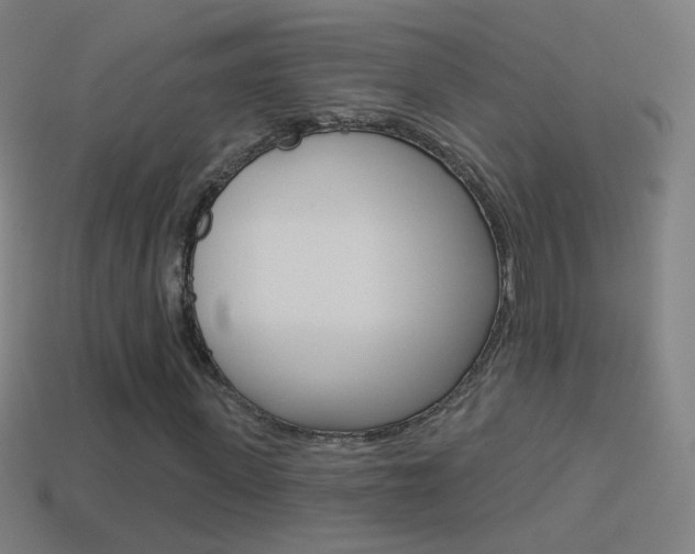 X0000114530915200910191007