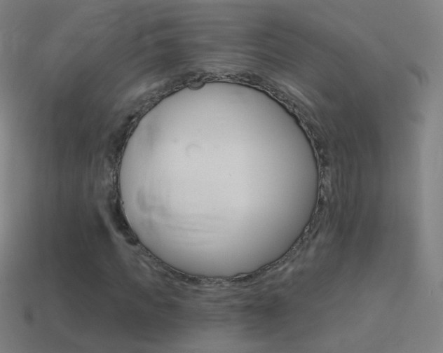 X0000114530917200910191007