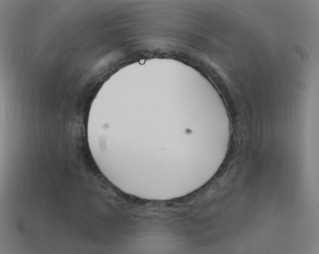 X0000114530918200910191007