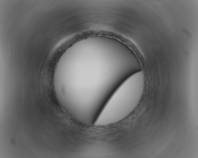 X0000114530919200910191007