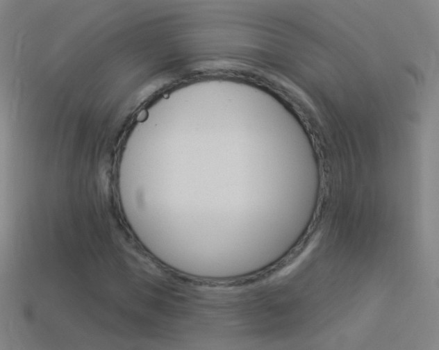 X0000114530921200910191007