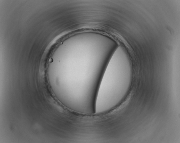 X0000114530923200910191007