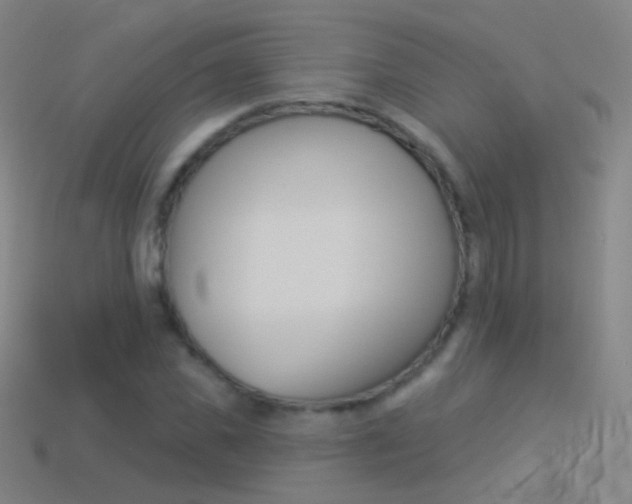 X0000114530925200910191007