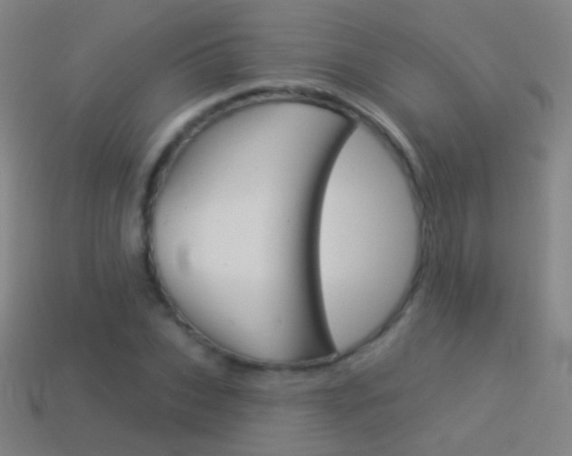 X0000114530927200910191007