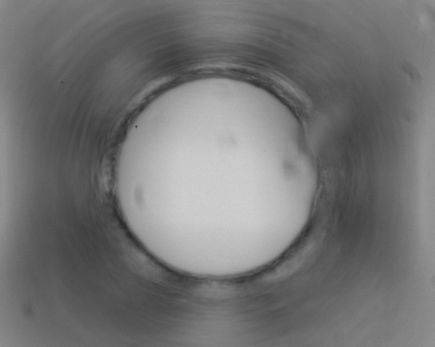X0000114530929200910191007